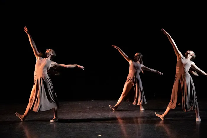 NEVA Creative Arts Company Picture 6