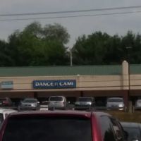 Dance By Cami ico