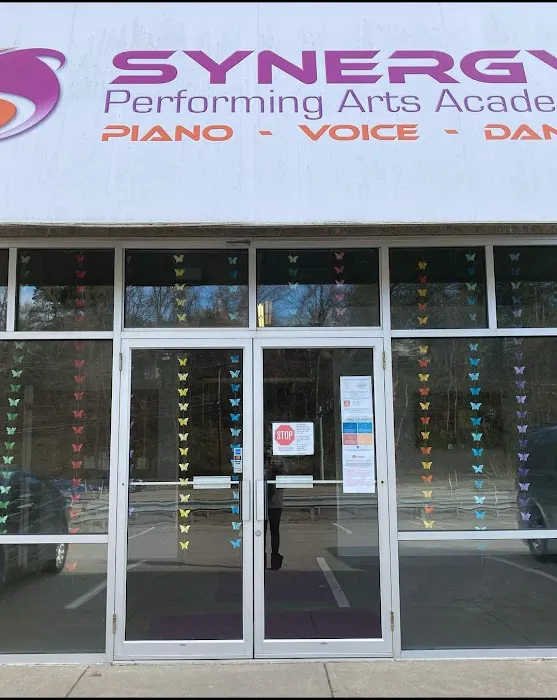 Synergy Performing Arts Academy Picture 3