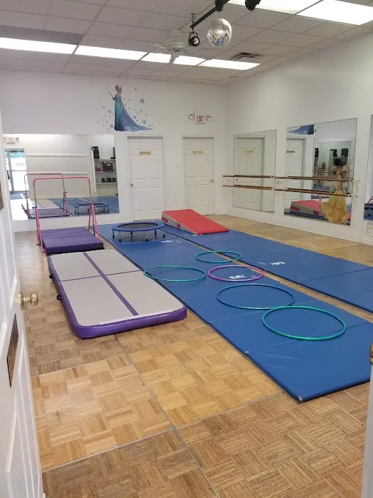 DanceTime Studio, Inc. Picture 4