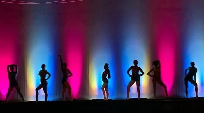 The Performing Arts Academy with Darin Picture 1
