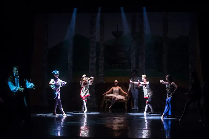 Allegro Dance Arts, LLC Picture 3