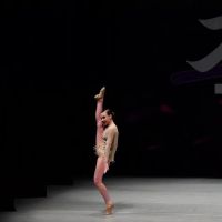 Steppin Out Dance Center ico