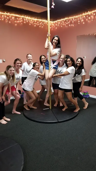 Pole, Barre and Fitness Studio Picture 1
