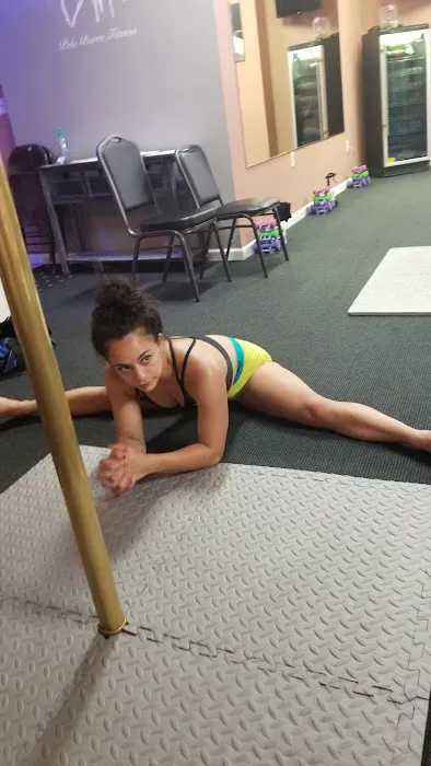 Pole, Barre and Fitness Studio Picture 7