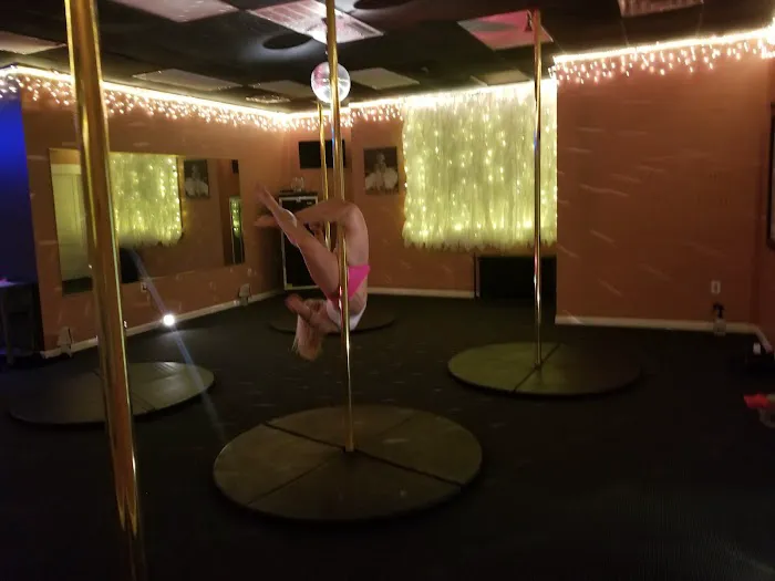 Pole, Barre and Fitness Studio Picture 8