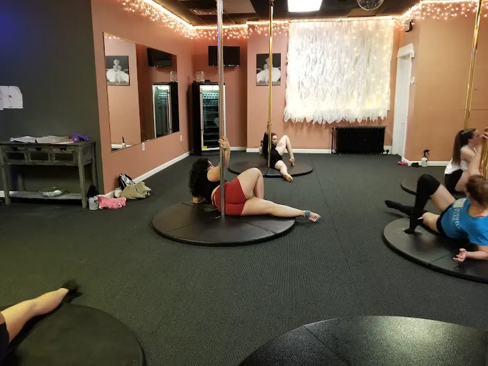 Pole, Barre and Fitness Studio Picture 9