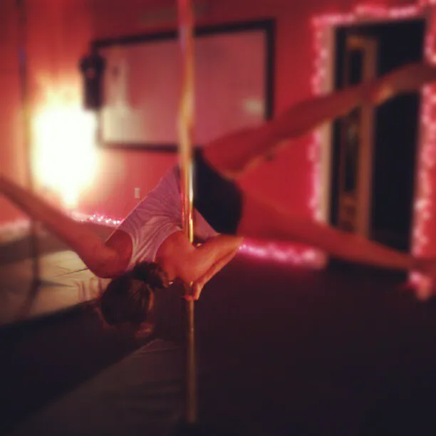Pole, Barre and Fitness Studio Picture 10