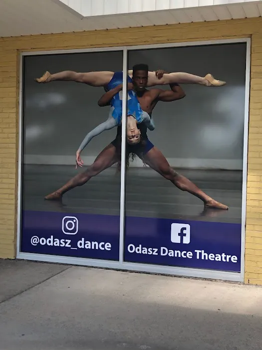 Odasz Dance Theatre Picture 4