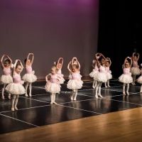 Celebrity Dance Emporium Inc. ico