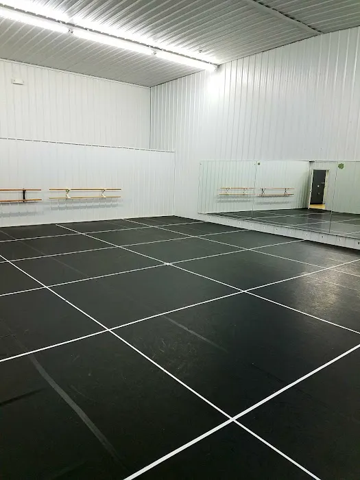 Celebrity Dance Emporium Inc. Picture 5