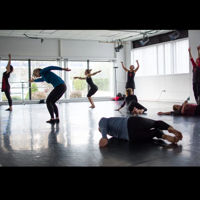 Casco Bay Movers Dance Studio Picture 6