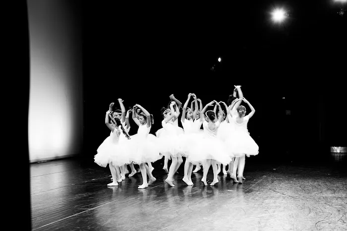 Casco Bay Movers Dance Studio Picture 9