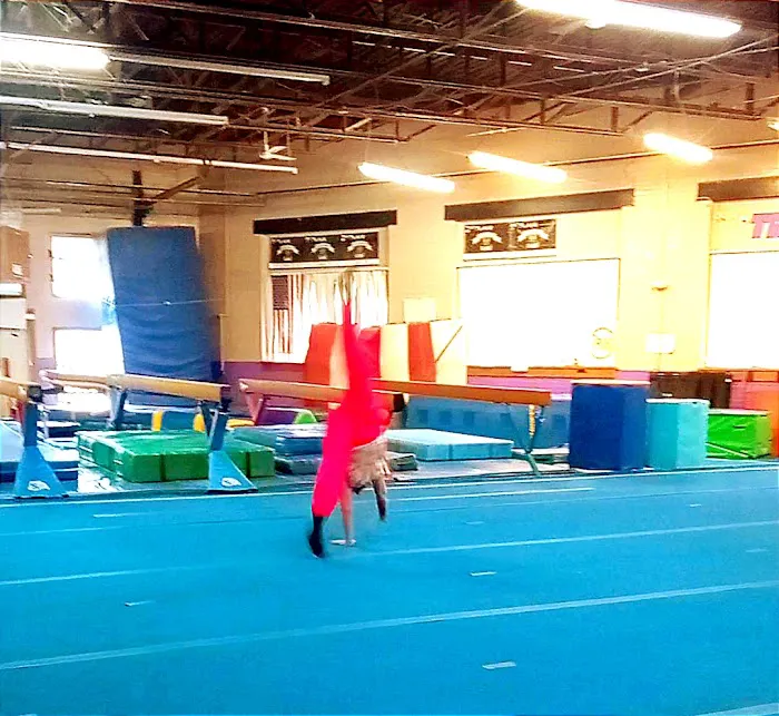Tri-Star Gymnastics Picture 1