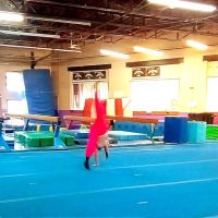 Tri-Star Gymnastics ico