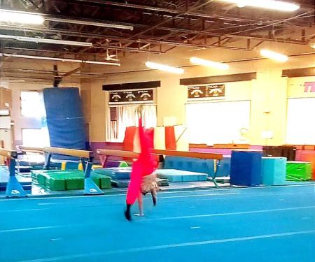 Tri-Star Gymnastics