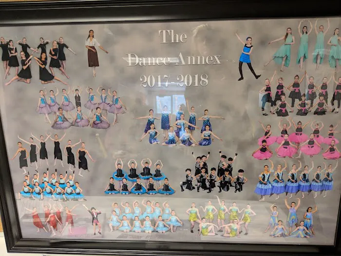 The Dance Annex Studio Picture 1