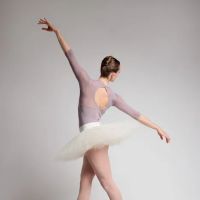 Dirigo Conservatory of Movement ico