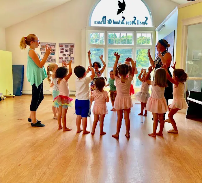 Small Steps School of Dance Picture 3