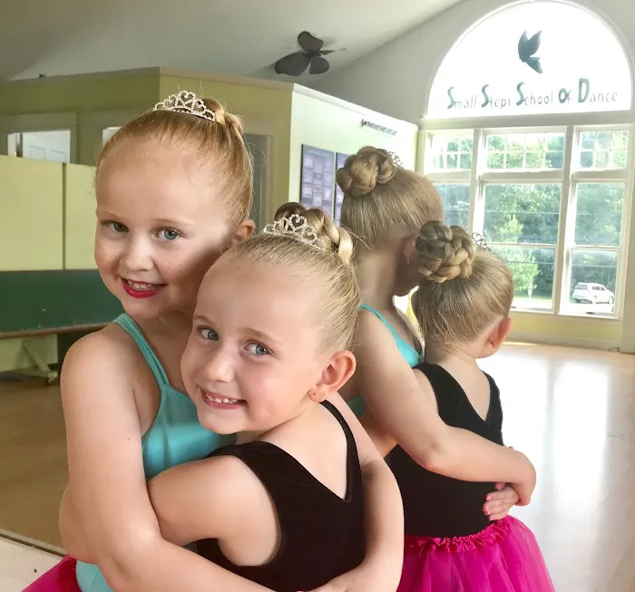 Small Steps School of Dance Picture 6