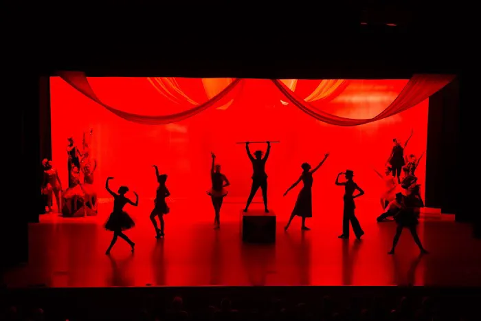 BoSoma School of Dance Picture 3