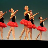 The Hamilton Wenham School of Dance ico