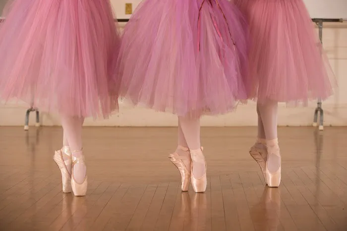 Marblehead School of Ballet Picture 9