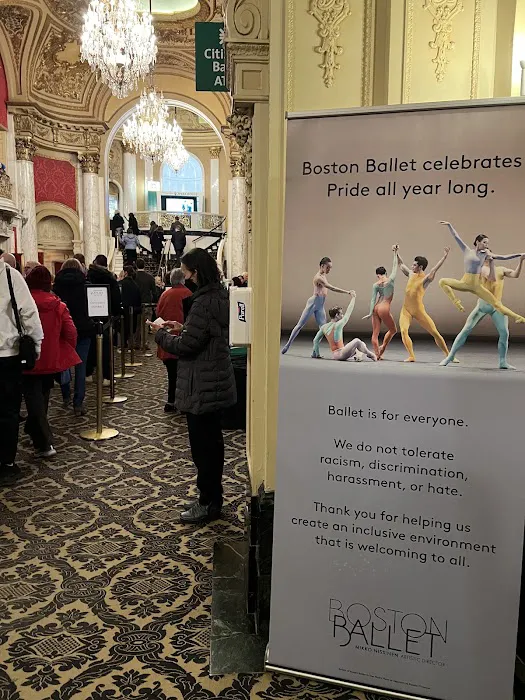 Boston Ballet School Picture 5
