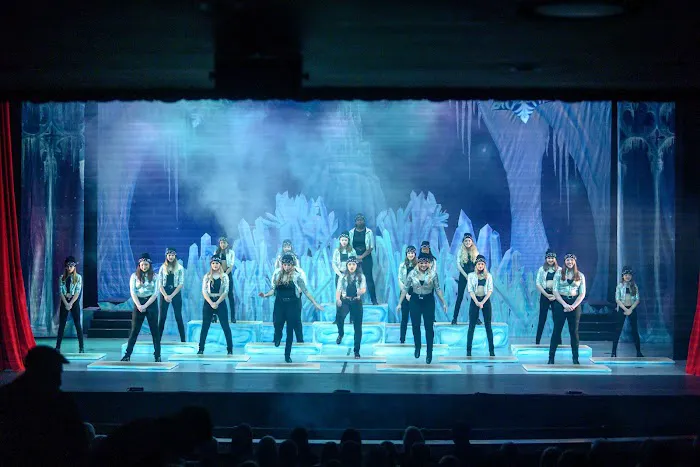 Forest Dance Academy Picture 1