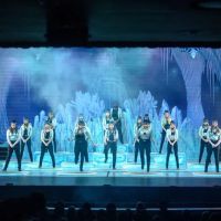 Forest Dance Academy ico