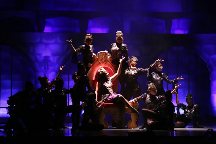Forest Dance Academy Picture 4