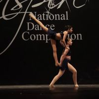 The Red Shoes ico