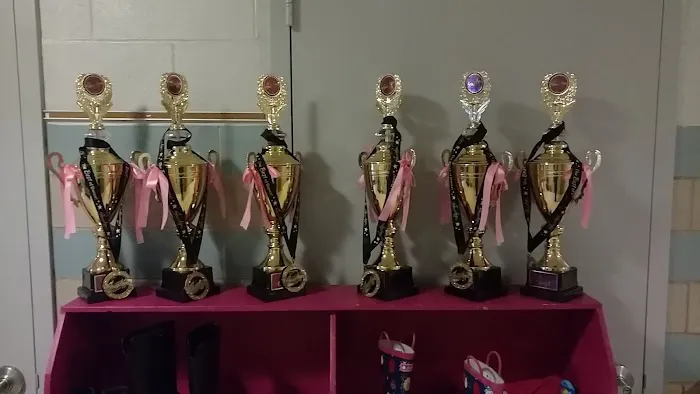 Amanda's Dance Academy Picture 1