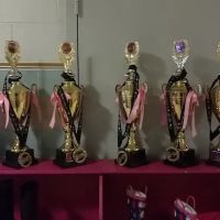 Amanda's Dance Academy ico