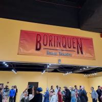 Borinquen Dance Theatre Inc ico