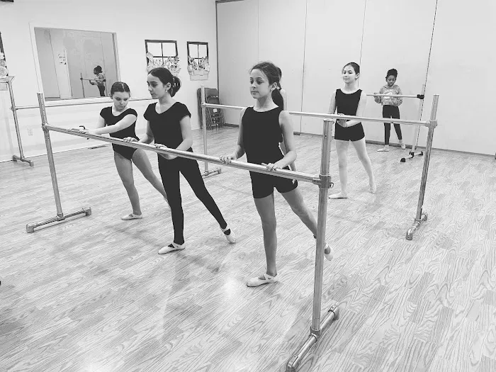 Trinity Performing Arts Studio Picture 3