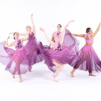 Spezio's Dance Dynamics ico