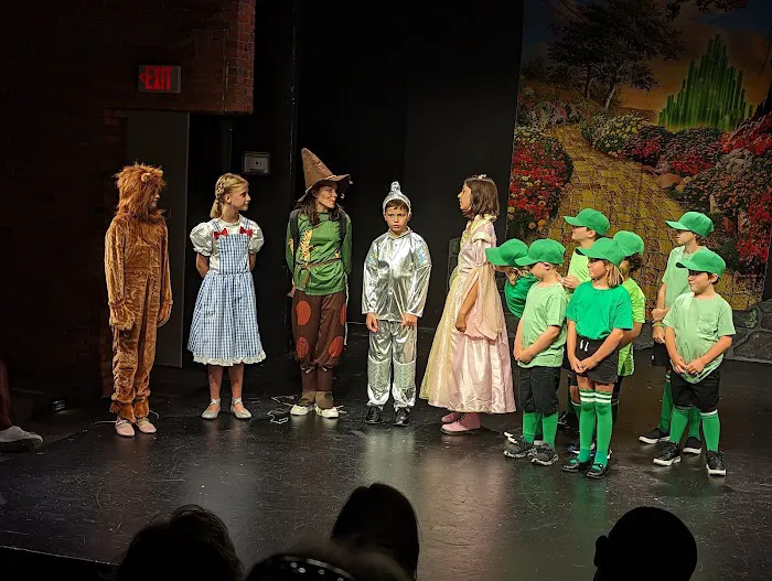 Williamsville Performing Arts Studio Picture 3