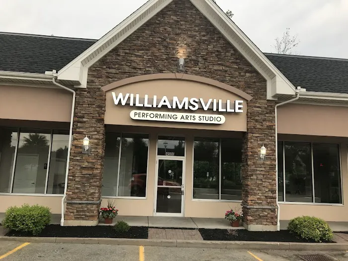 Williamsville Performing Arts Studio Picture 5