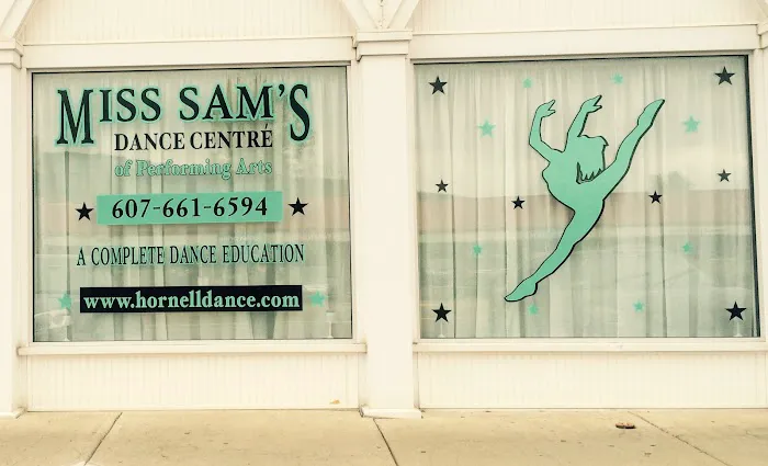 Miss Sam's Dance Centre 'of Performing Arts LLC Picture 5