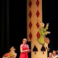 Finger Lakes Ballet Academy ico