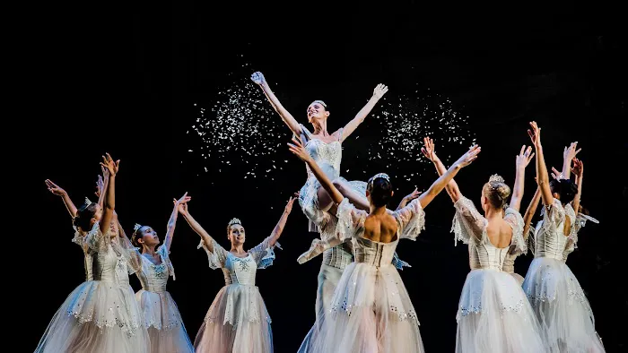 Portland Ballet Picture 2