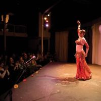 Rosa Noreen - Belly Dance Classes and Performance ico