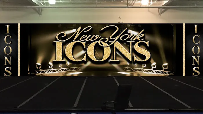 New York Icons Picture 3