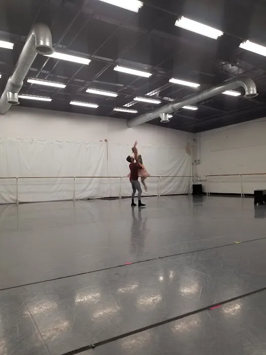Rochester City Ballet Picture 6