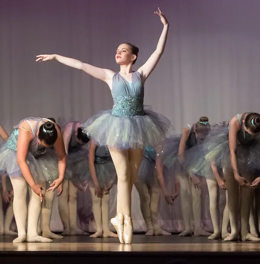 Palmyra-Macedon Conservatory of Dance Picture 2