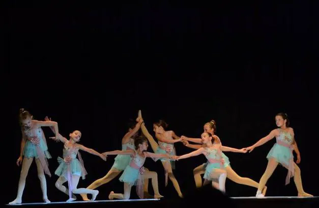 Palmyra-Macedon Conservatory of Dance Picture 5