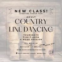 Dancing With Denise ico