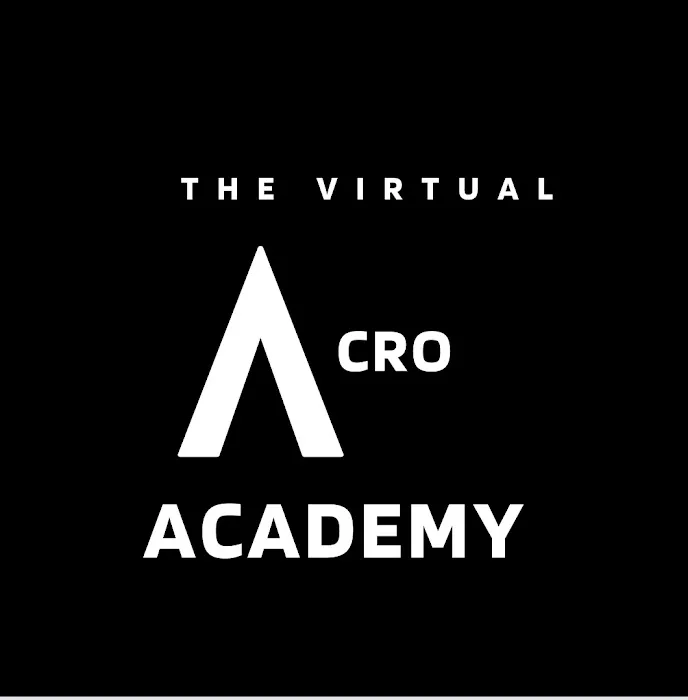 The Virtual Acro Academy Picture 2