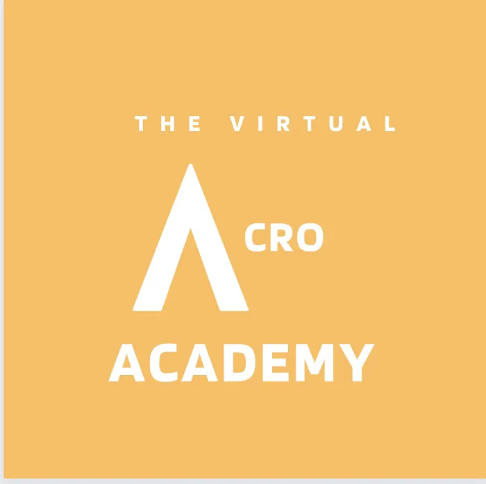 The Virtual Acro Academy Picture 1